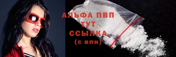 СК Новодвинск