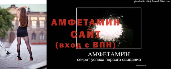 СК Новодвинск