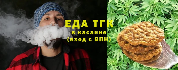 СК Новодвинск